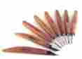 869010 Narex 8 Piece Micro Professional Detail Carving Chisel Set In Wood Box