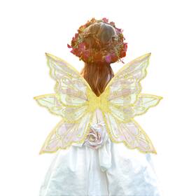 Fhhw-ll-230829-s Alibbon Fairy Wings Gold Transparent Costume Glitter 1
