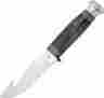 Ca17914 Case Knives Fixed Knife Horn Handle Guthook Hunter Bh75 4g Ss Pattern 8 021205179148