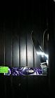 Cscca9254pp Case Xx 9254pp Purple 026615251040 Cscca9254pp Case Xx 9254pp Purple 026615251040
