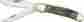 Kc9214 Klaas Knives Folder Knife Horn Handle Klass Copperhead Rams 3 4 810776011335