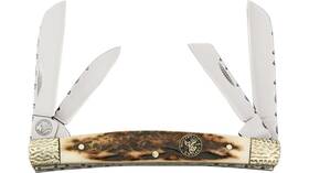 Wt-515 Whitetail Cutlery Fancy 4 Blade Congress Pocket Knife Stag Handles - Gift Boxed Wt-515 Whitetail Cutlery Fancy 4 Blade Congress Pocket Knife Stag Handles - Gift Boxed