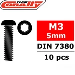 Team Corally C-3003-30-05 Hex Button Head Steel Screws M3 5MM (10) Rc Car. Fixed Price $6.99.