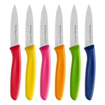 Stainless Steel Paring Knife With Serrated Blade, 6 Pieces Set Vegetable And .... Fixed Price $26.44.