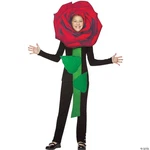 Rasta Imposta Red Rose Child Costume Bouquet Garden Flowers Kids Dress Up. Fixed Price $43.46.
