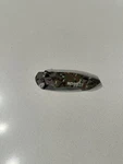 Kobalt - Camo Knife Stainless Plain Blade. Fixed Price $8.99.
