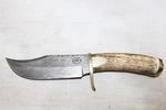 Vintage Colt 45 Damascus Fixed Blade Genuine Stag Handle Hunting Knife Pakistan. Fixed Price $119.99.