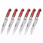 Kitchen Knife Set Pack Of 6 Stainles Steel Sharp Cutting Knive Free Delivery. Fixed Price $27.00.