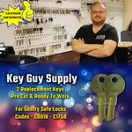 C001B-C175B. Pair Of New Keys For Sentry Safe Locks. Pre Cut And Ready To Work.. Fixed Price $9.99.