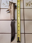 Elk Handle Case Xx Usa 223-6 Knife Fixed Blade Antler Knives. Fixed Price $150.00.