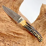 Bear & Son Usa Fixed Blade Knife New Pro Skinner Stag 549D Leather Sheath Nib. Fixed Price $175.00.