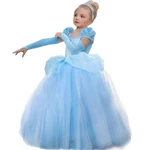 Sndshop Cinderella Princess Dress Costume For Toddler Girls 8-9 Years, Blue. Fixed Price $58.90.