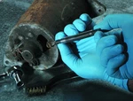 Spring Tools RR1005 Hammerless Rivet Removal Set Kit - 5/16" Cold Chisel & Hi.... Fixed Price $40.43.