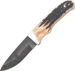 Bear & Son Fixed Blade Knife New Pro Skinner Stag 549D. Fixed Price $179.92.